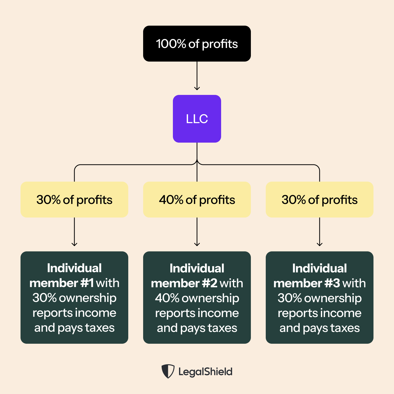 How taxes “pass through” a multi-member LLC for individual members.