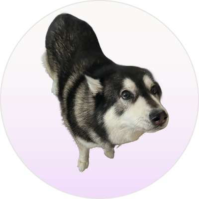 Bosco
