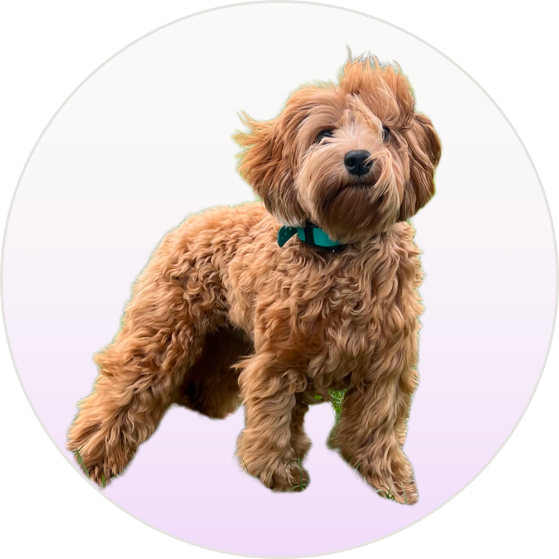 Winston "Winnie"