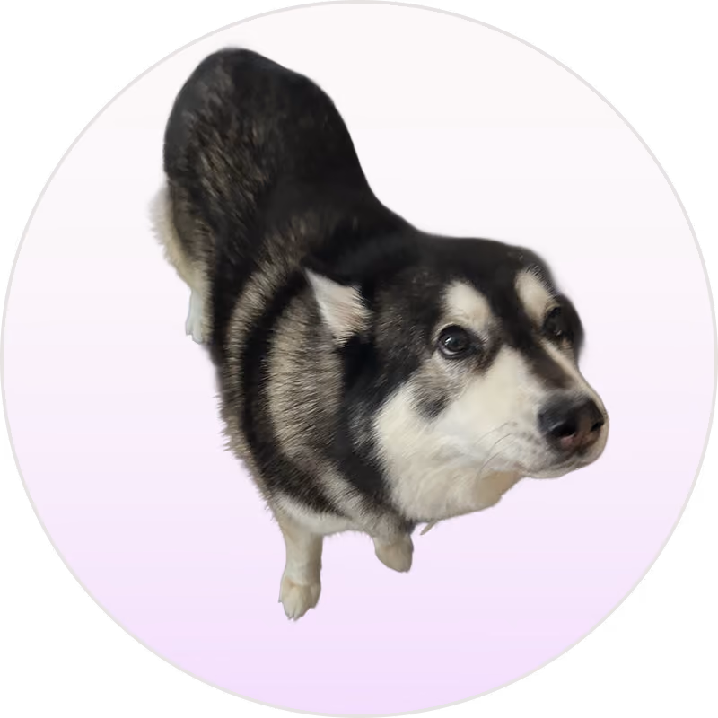 Bosco
