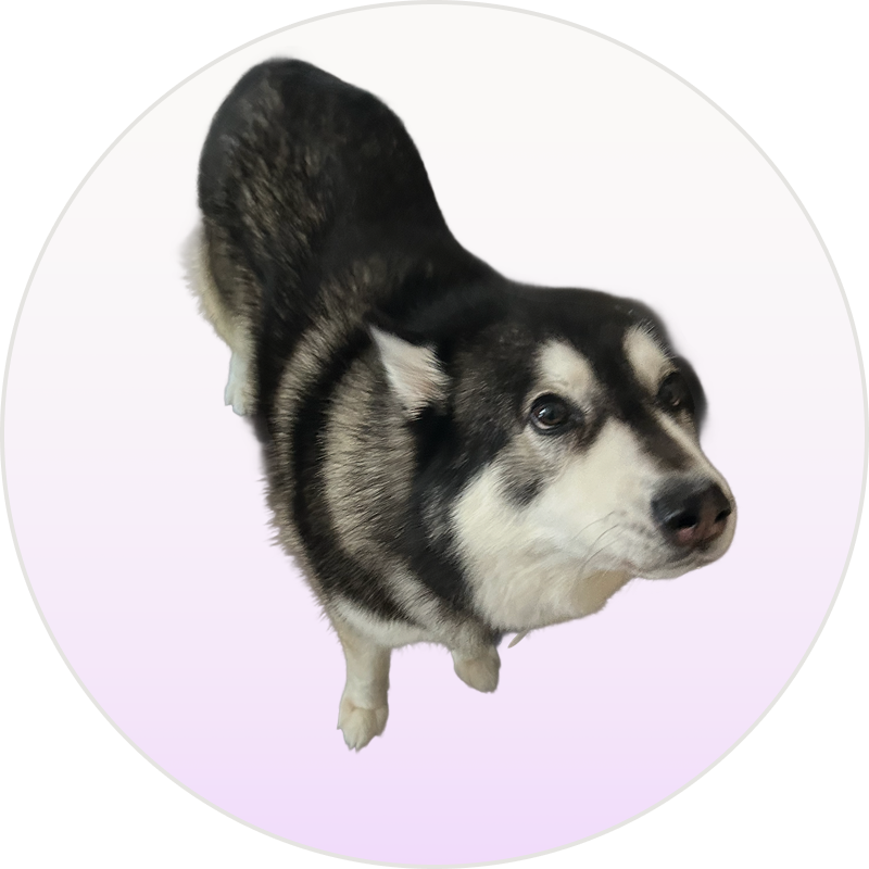 Bosco