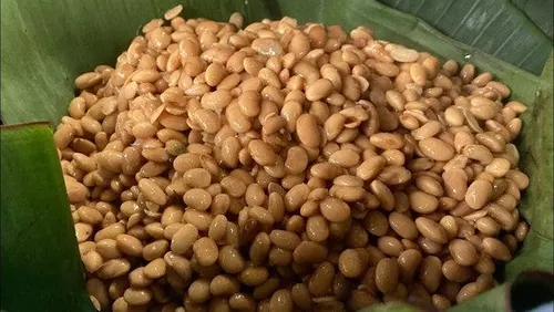 kinema (fermented soybeans) - nepali dish