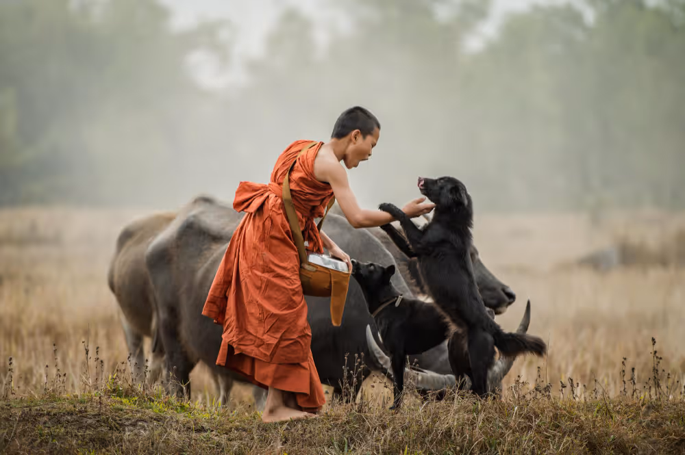 young monk
