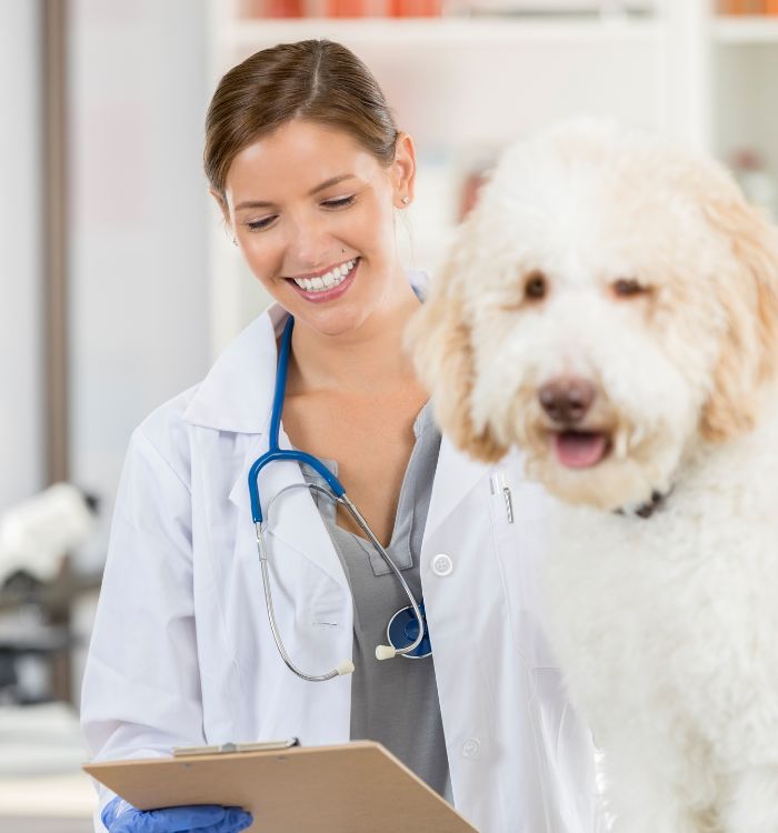 A woman in a white coat holding a clipboard with a dog.