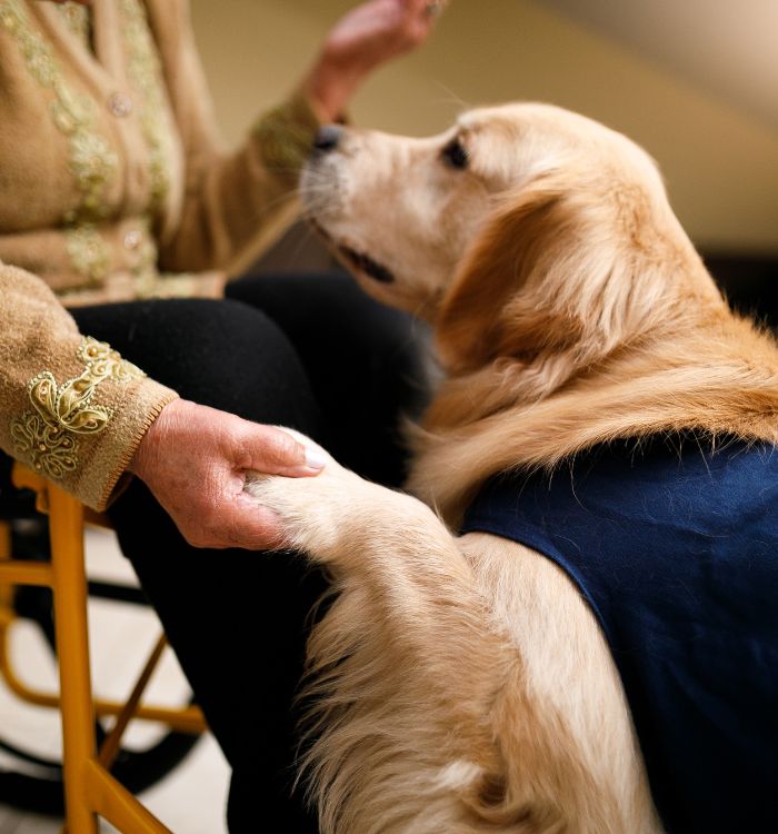A golden retriever sits beside an older woman on a wheelchair.