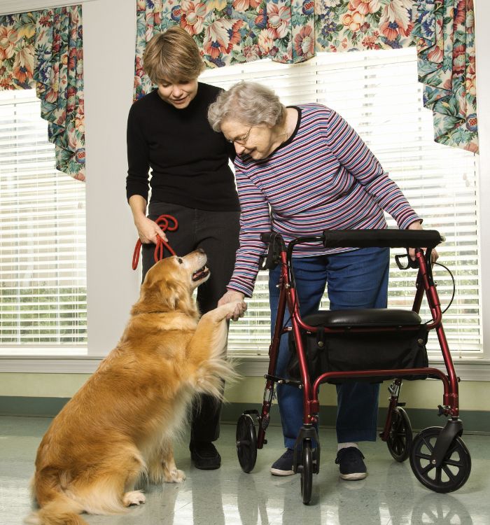 An older woman in a wheelchair is accompanied by a woman and a dog.