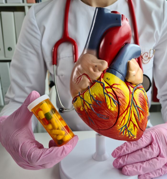 A doctor holding a pill bottle and a heart model.