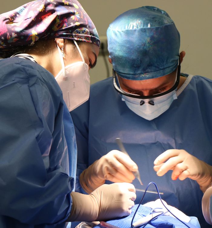 Two doctors wearing blue scrubs are working on a patient.