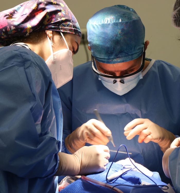 Two doctors wearing blue scrubs and surgical masks are working on a patient.
