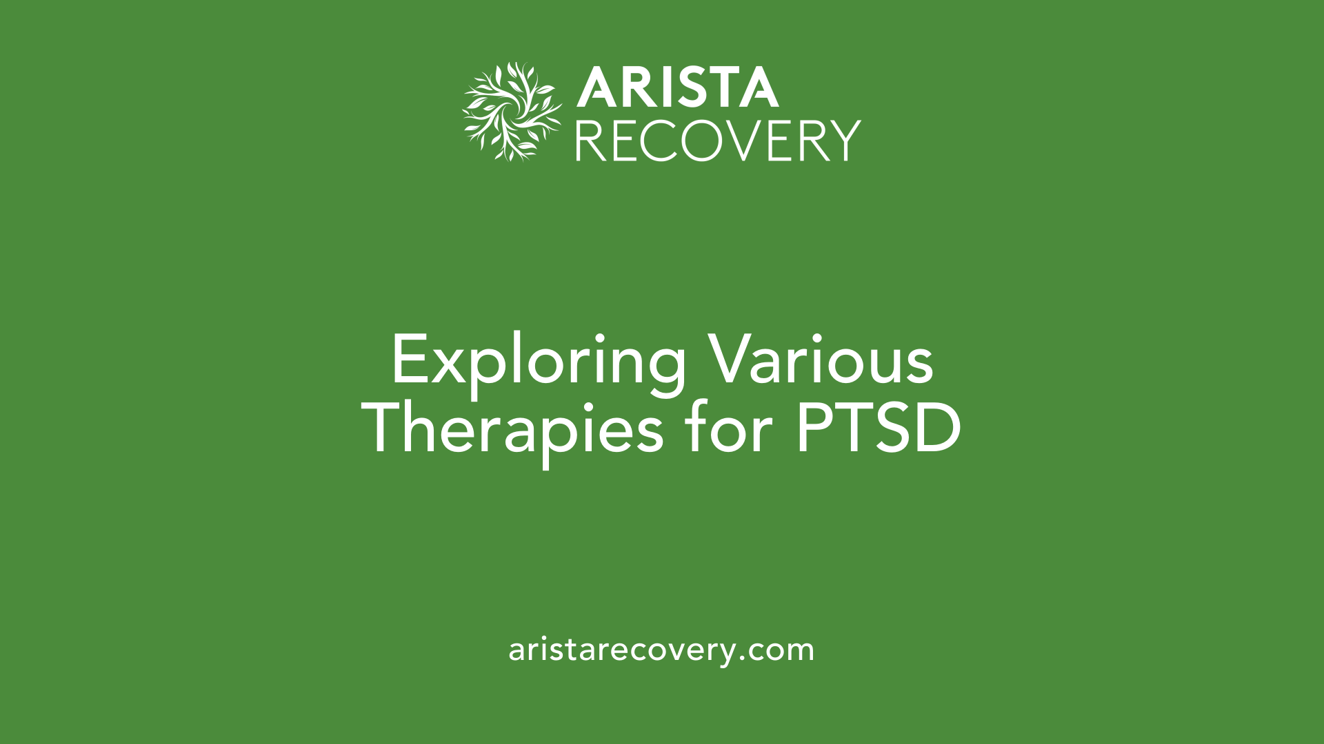 Exploring Various Therapies for PTSD