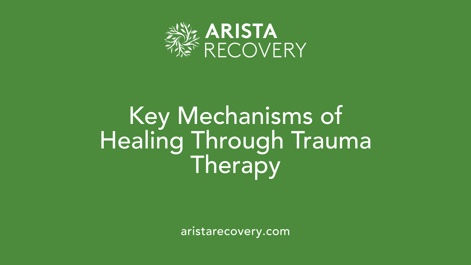 Key Mechanisms of Healing Through Trauma Therapy