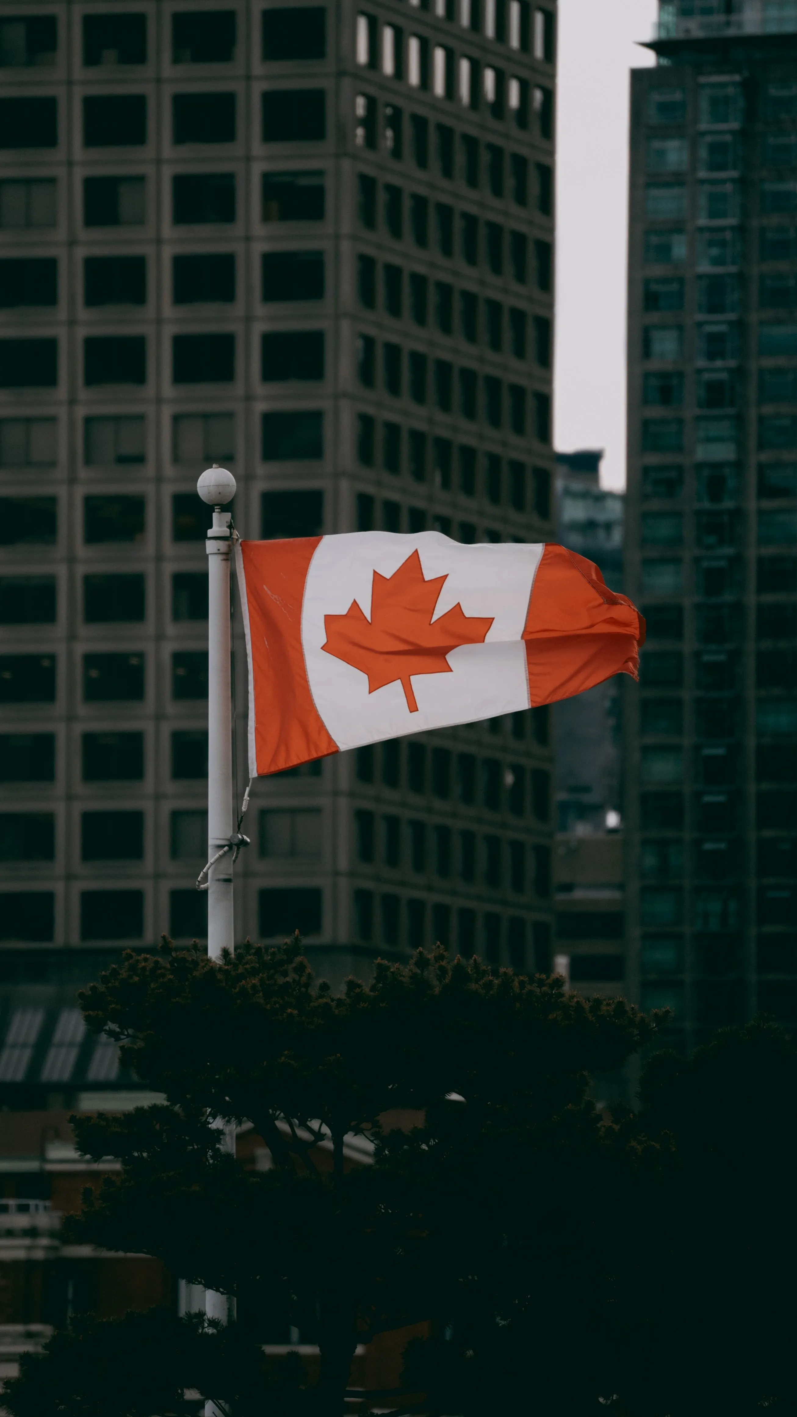 Chi Phí Định Cư Canada 2026: Cần Bao Nhiêu Tiền Để Sang Canada Sinh Sống? - hình ảnh 3