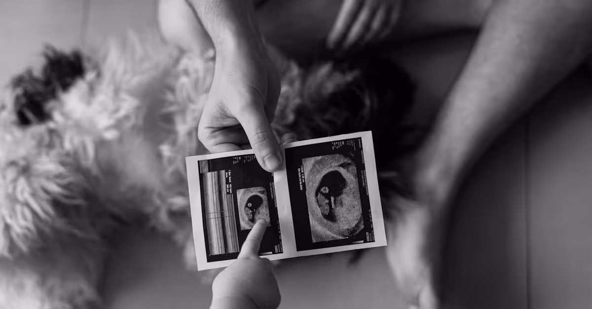 ultrasound and hands