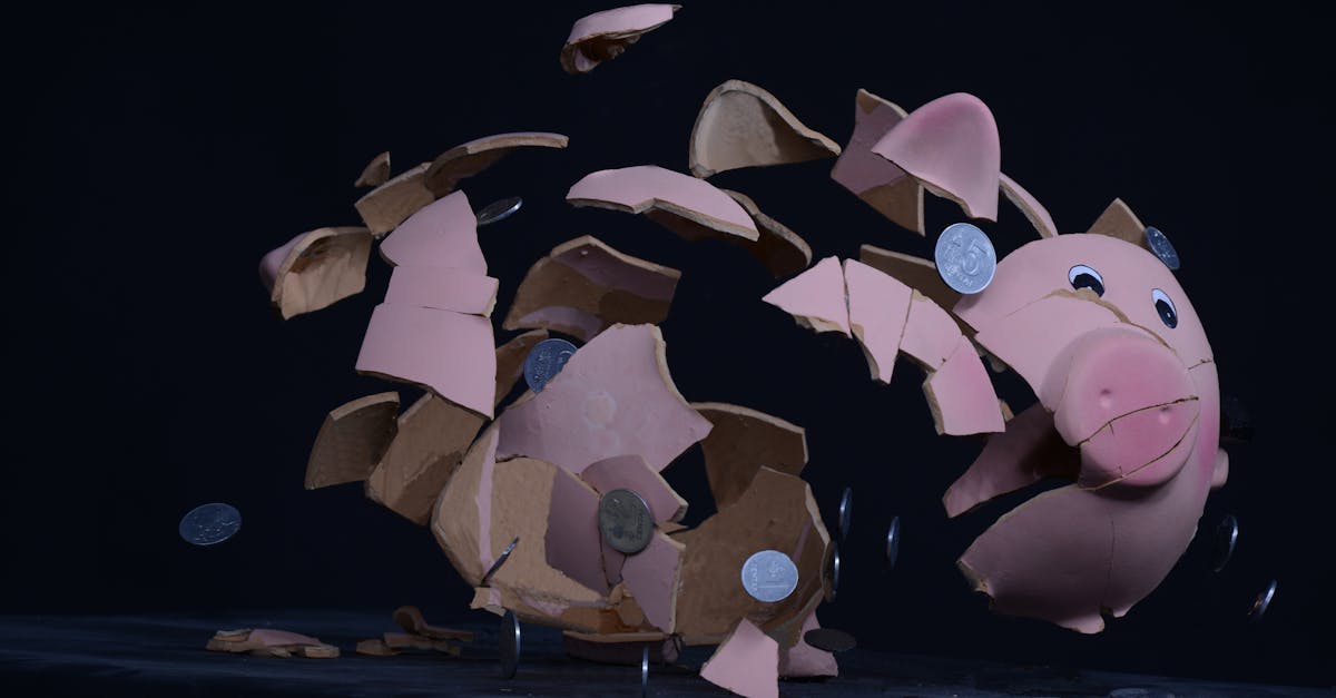broken piggy bank