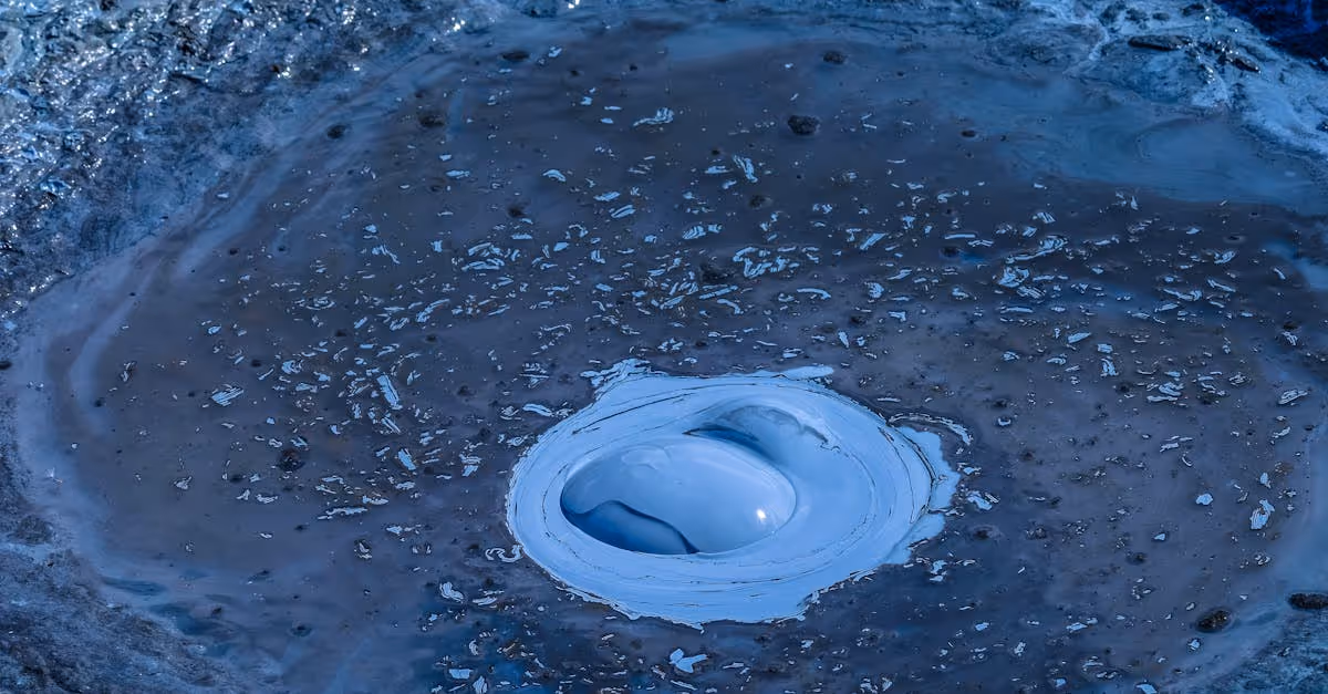 blue field