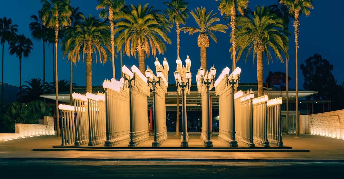 palm trees at resort