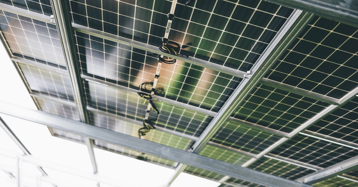 ceiling grid