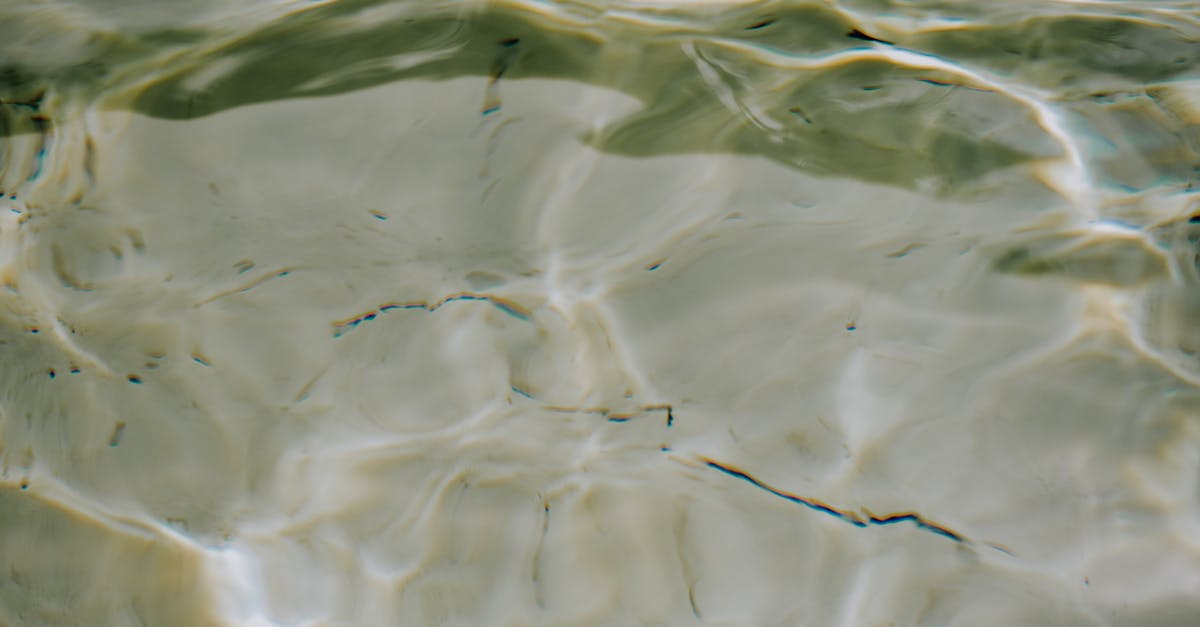 crust