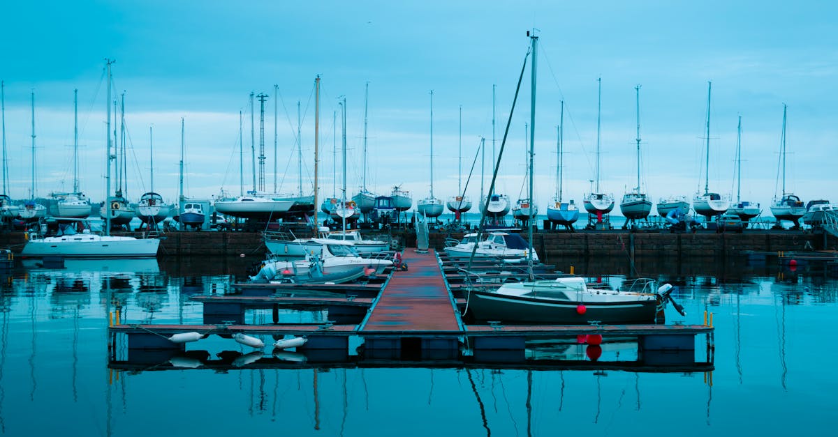 boats