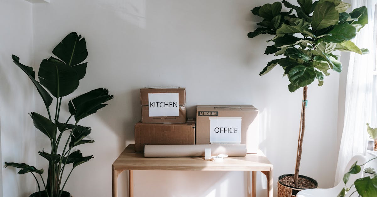 boxes