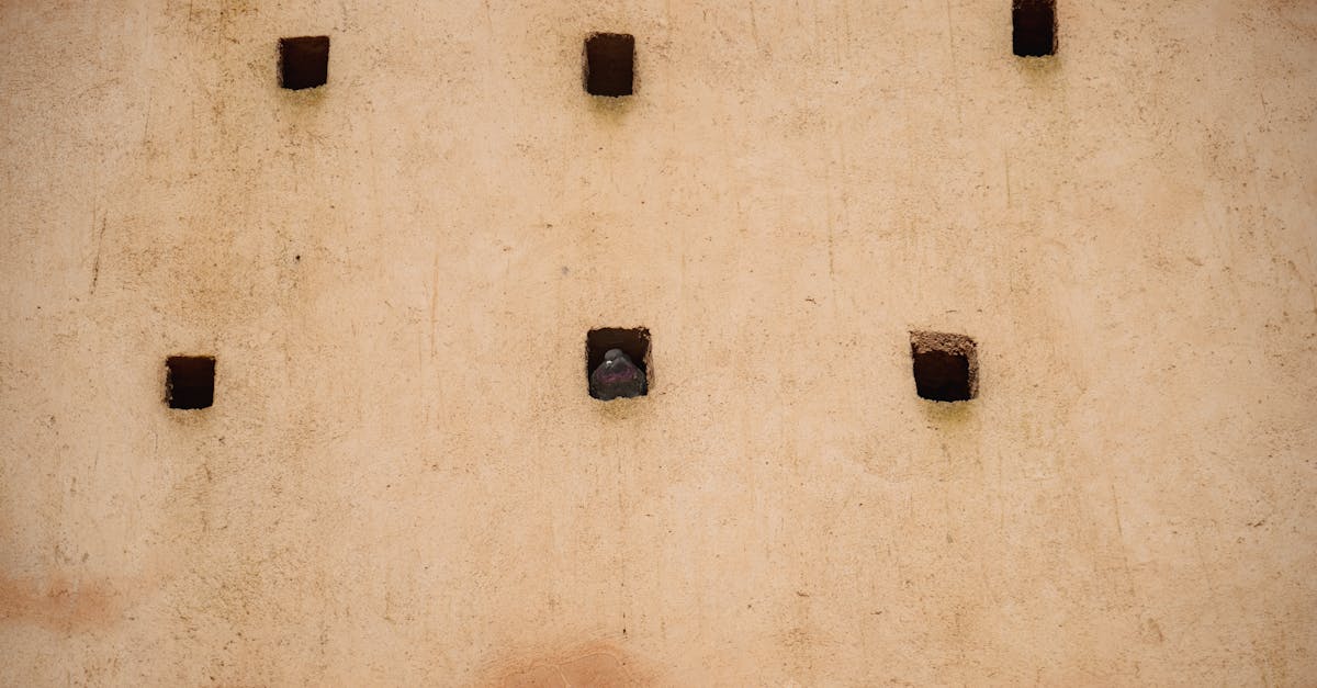 wall pegs