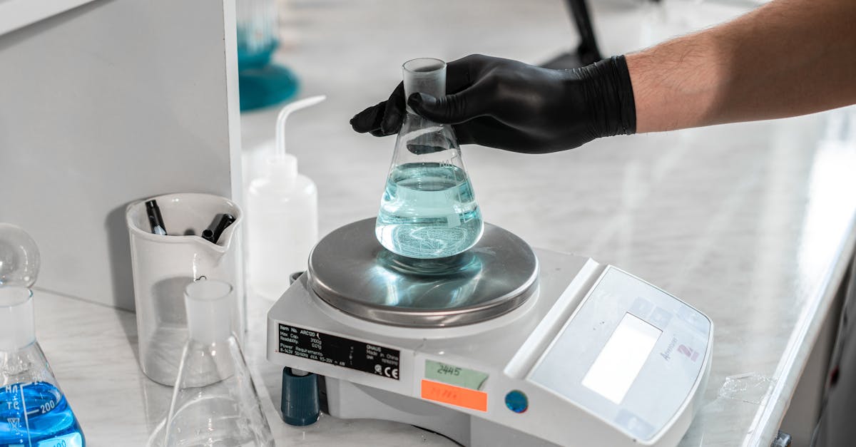 lab