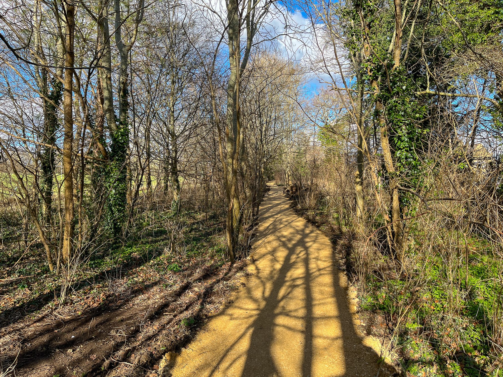 Connecting Nature and Community with a New Woodland Path - Case Studies ...
