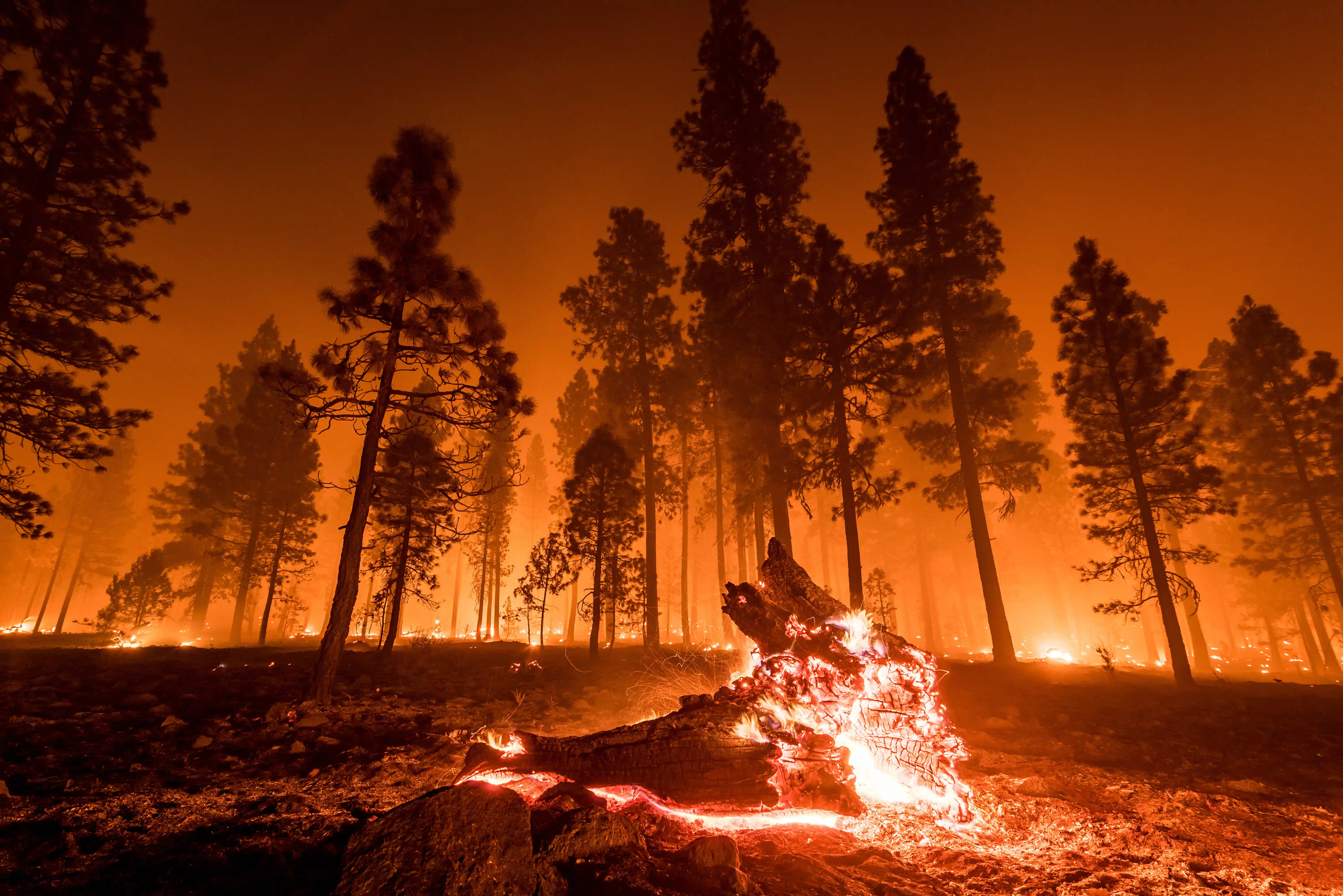AI/ML Systems in Wildfire Management