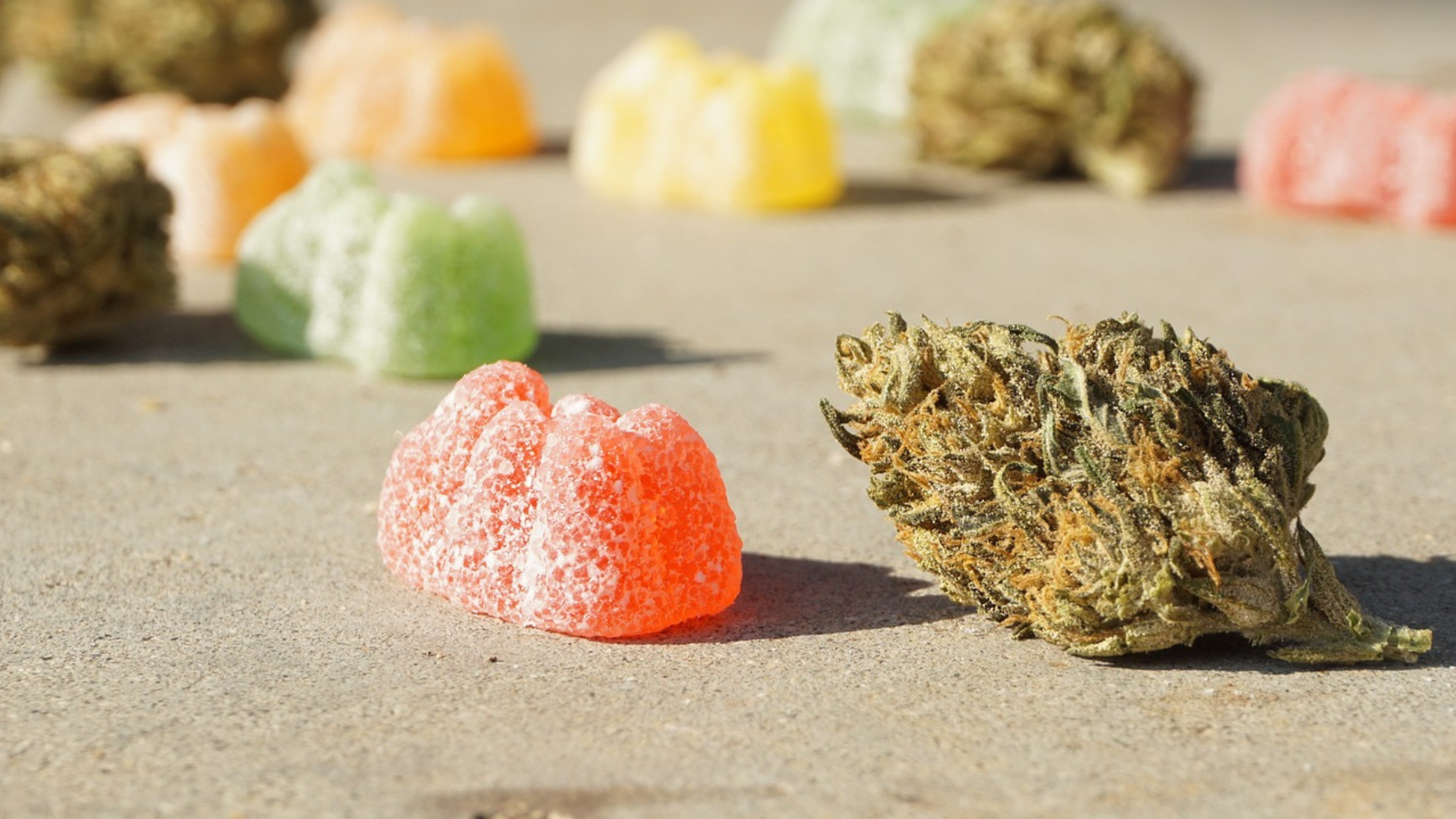 Toke Software