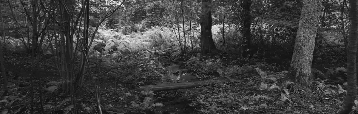 Jan Lindahl fotografi båtvrak svartvit.