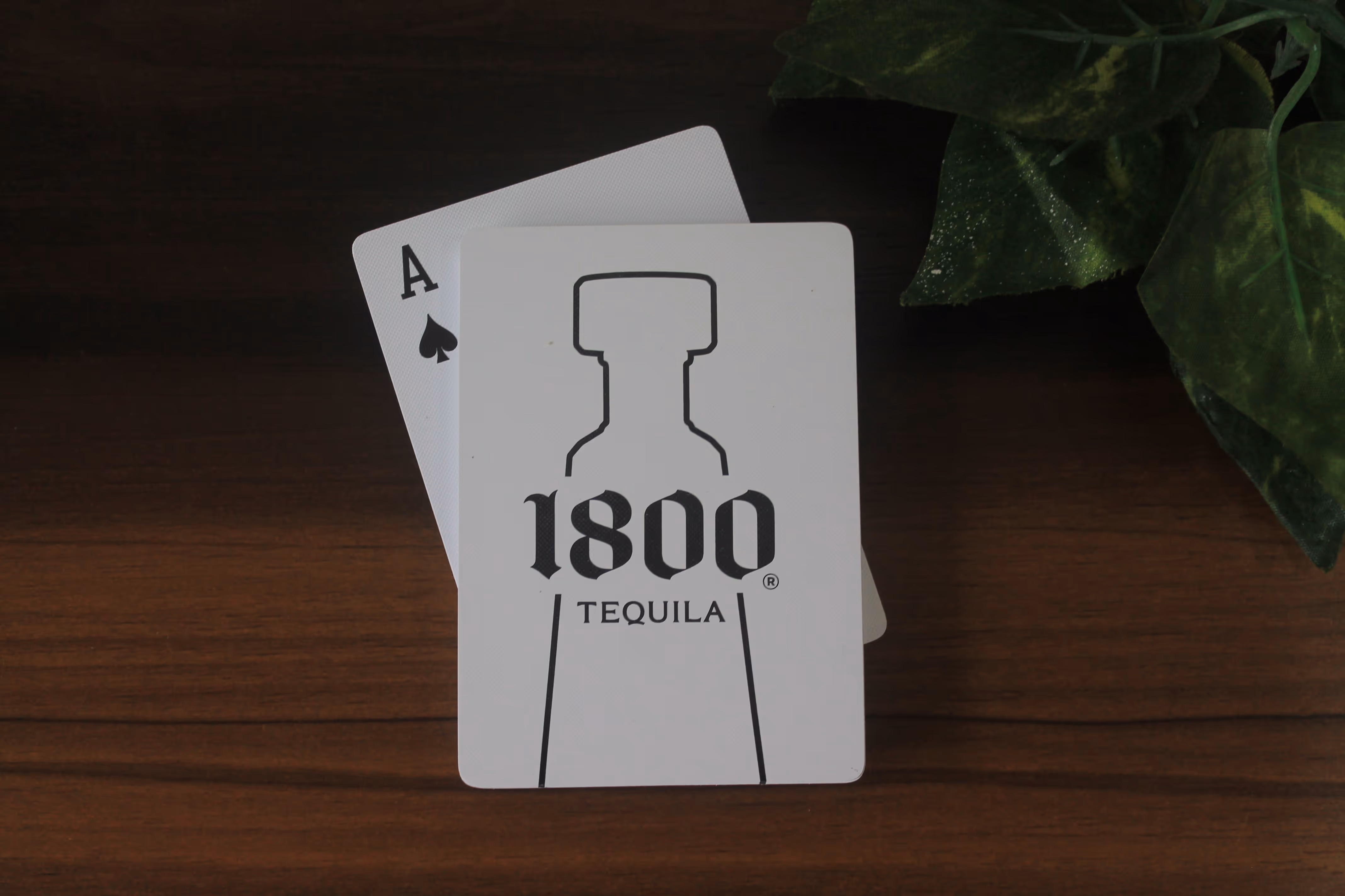 Custom playing cards for launch with company branding and logo.