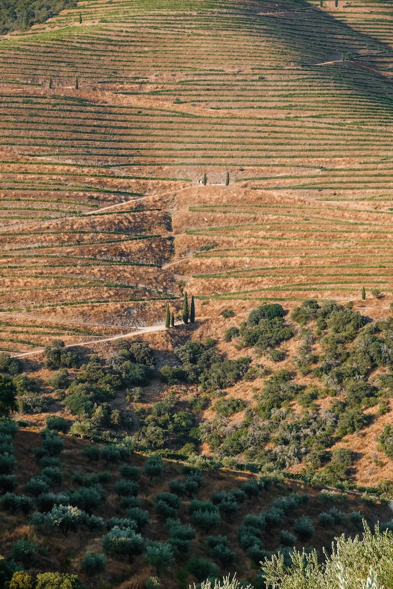 visiter-la-vallee-douro-conseils-et-bonnes-adresses