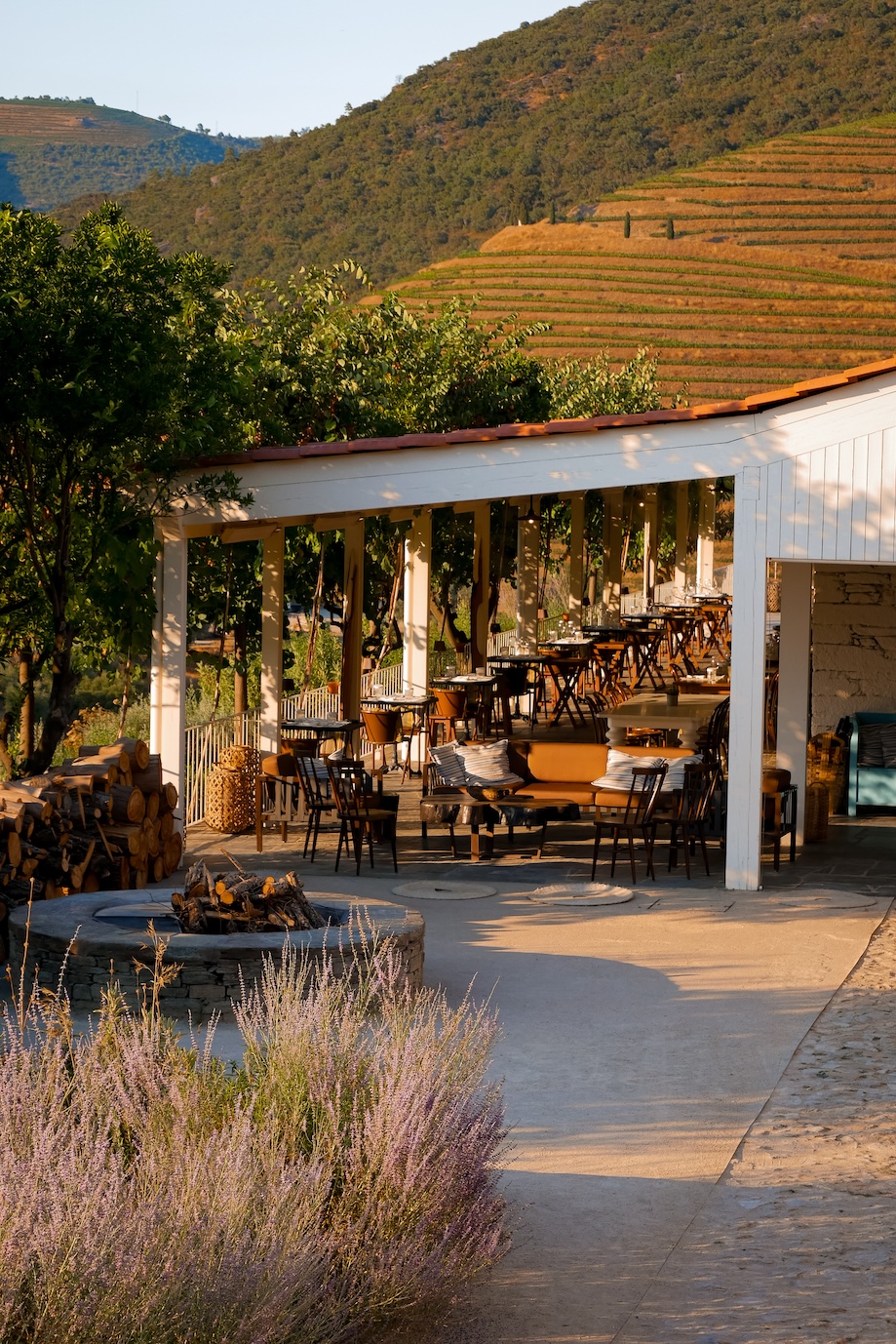 visiter-la-vallee-douro-conseils-et-bonnes-adresses