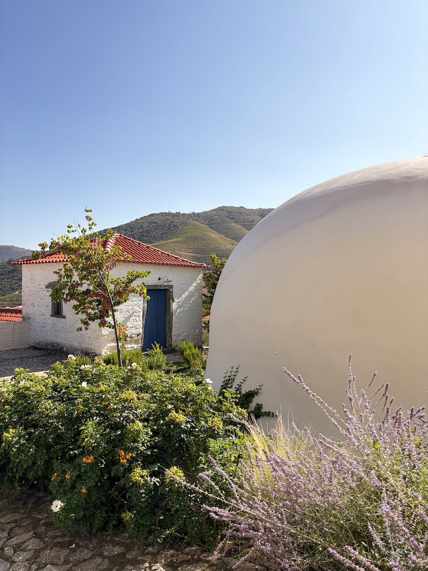 visiter-la-vallee-douro-conseils-et-bonnes-adresses