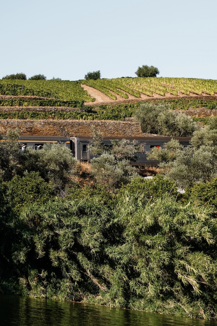 visiter-la-vallee-douro-conseils-et-bonnes-adresses