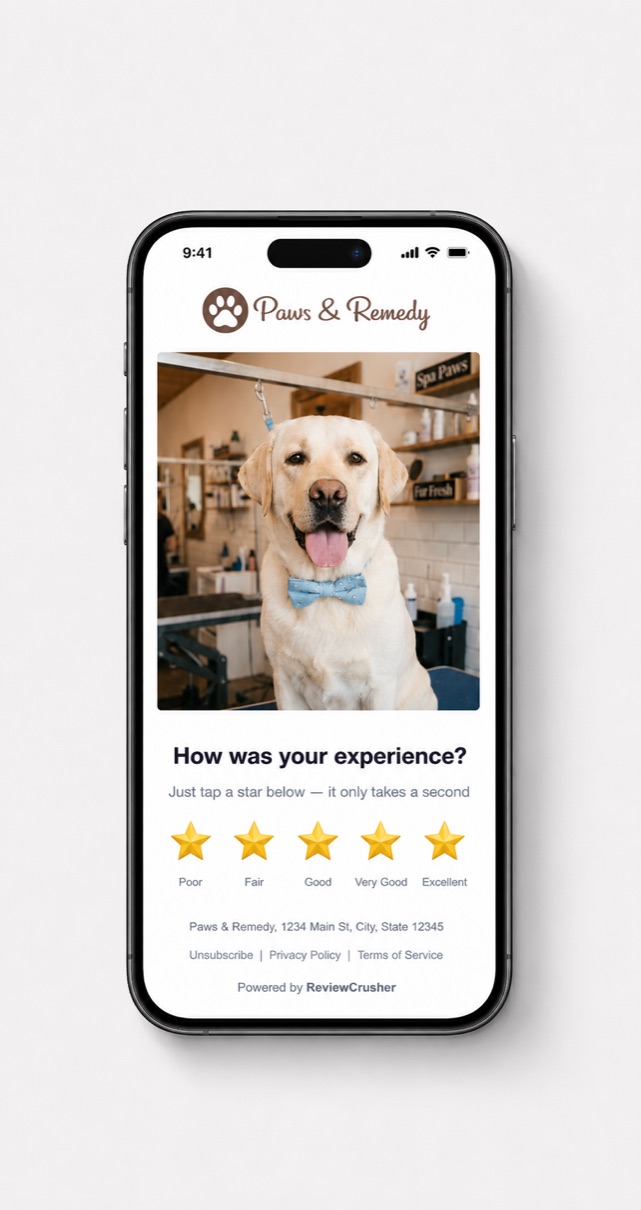 CrushPix branded review request on a phone