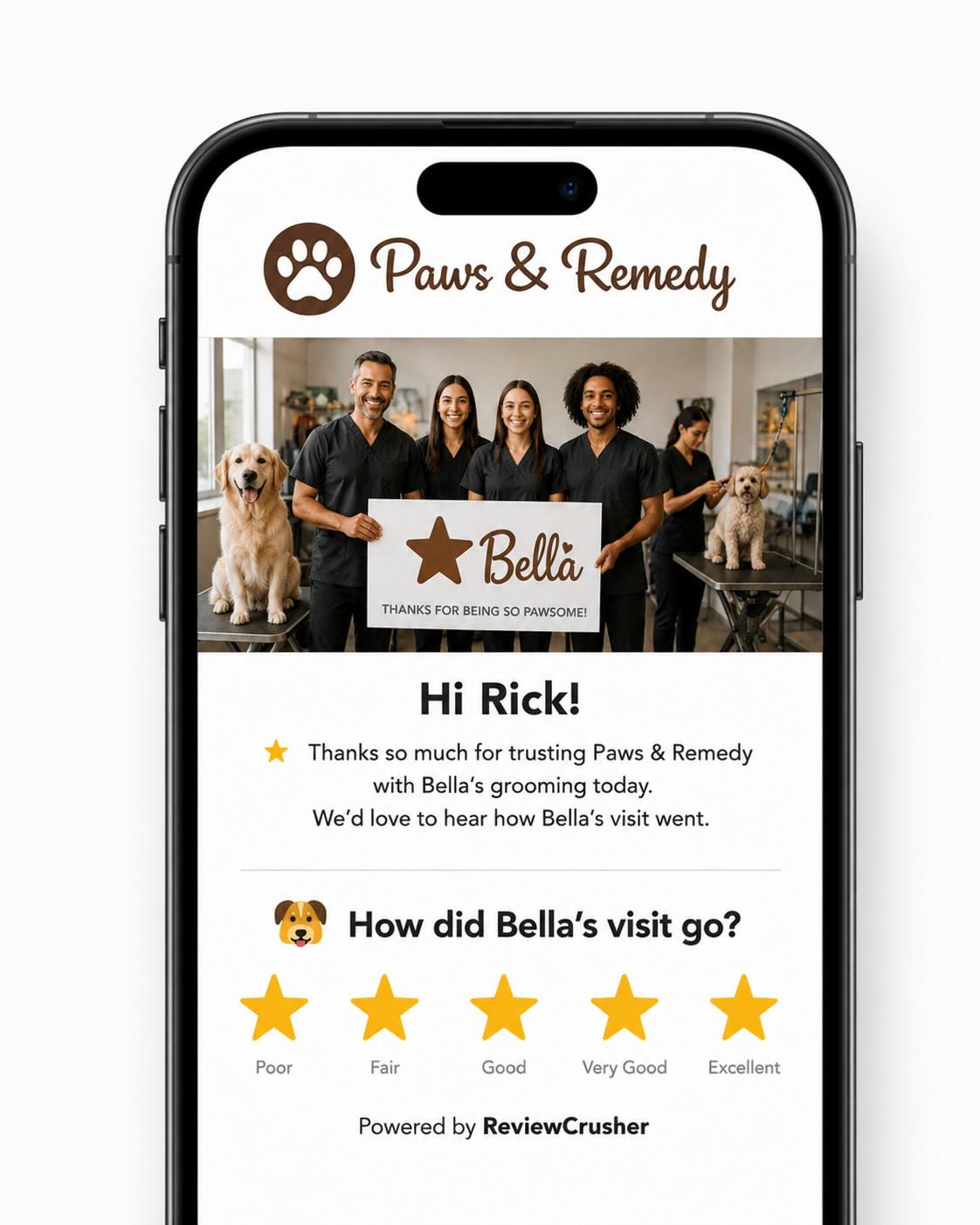 CrushPix branded review request on a phone