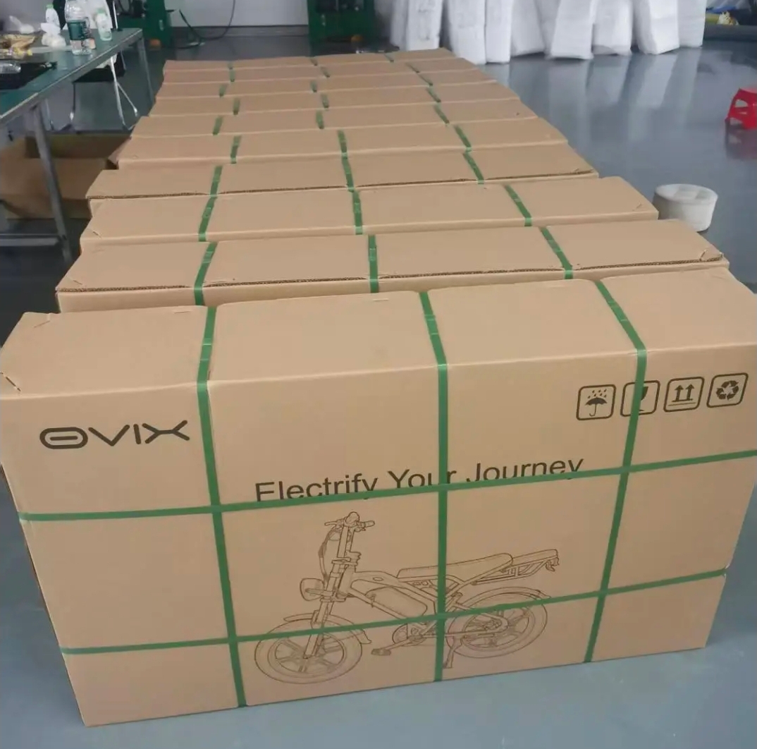 Our warehouse is designed for efficient stock management, secure storage, and fast order processing. Every product is carefully inspected, organized, and stored to ensure smooth operations from inventory handling to final dispatch. This system allows us to maintain accuracy, improve delivery speed, and provide a reliable fulfillment process for every order.