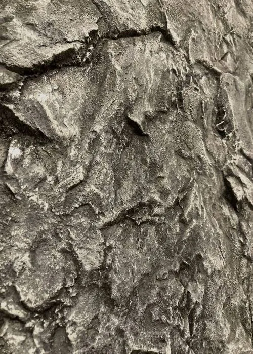 Wandgestaltung in Schieferoptik