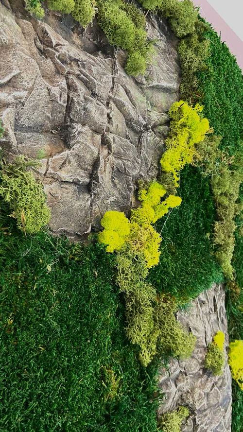 Kreative Wandgestaltung mit Moos.