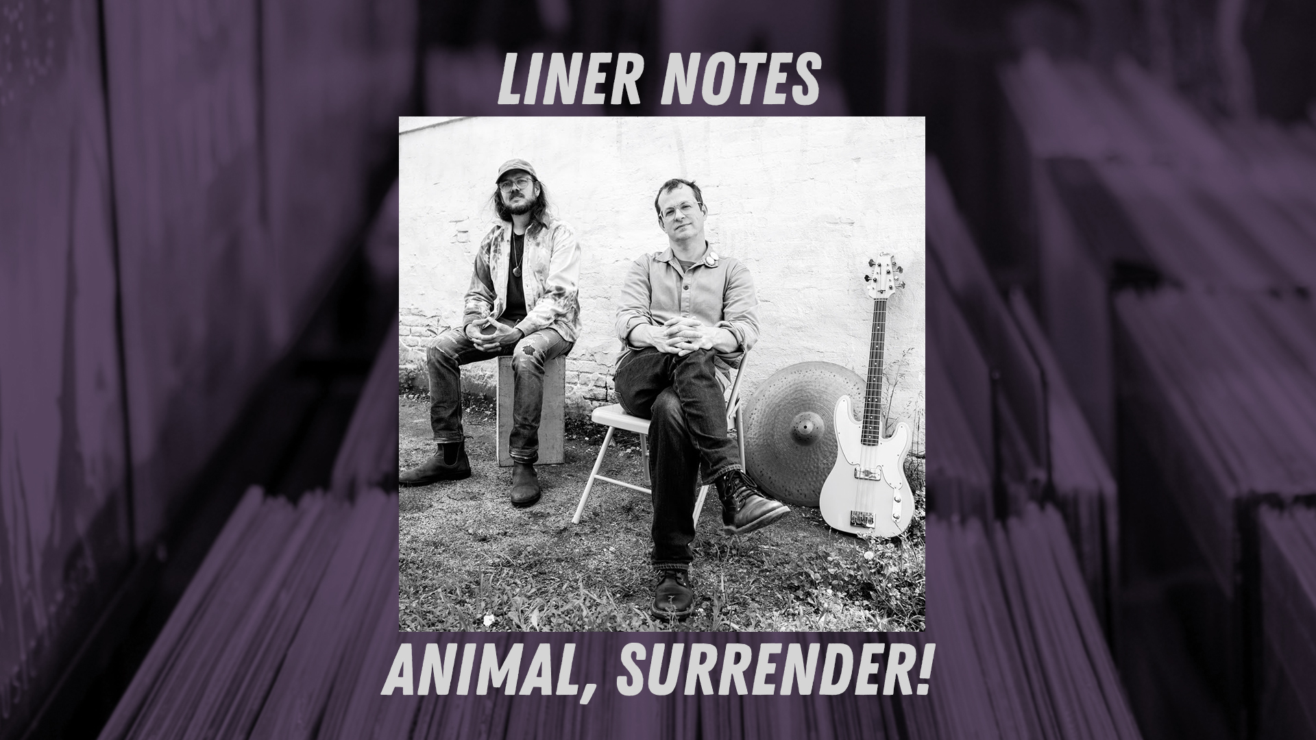 Liner Notes: Peter Kerlin of Animal, Surrender!