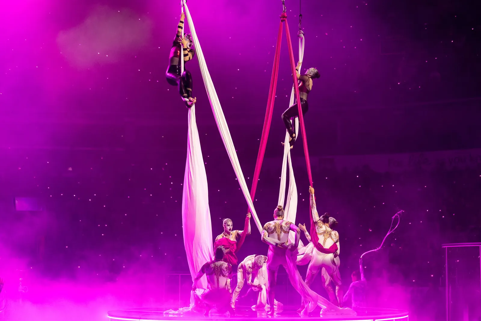 Aerial silks performers in magenta light at TennoCon 2026