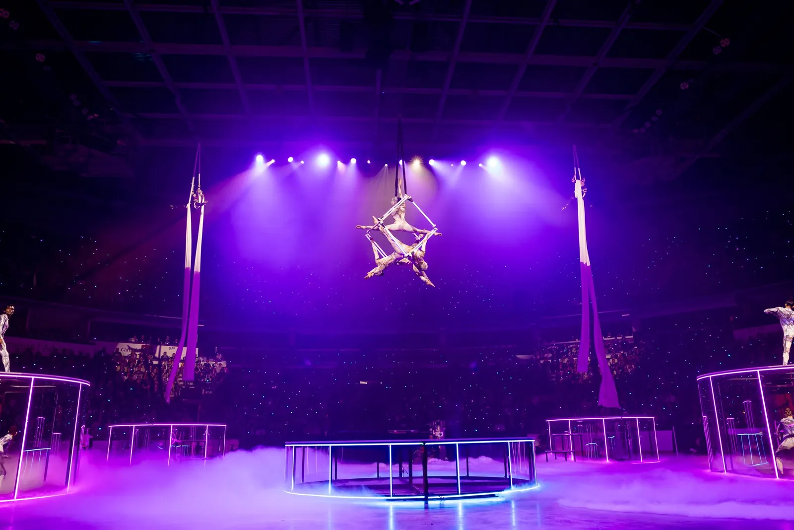 Aerial cube performer above a stage bathed in purple light