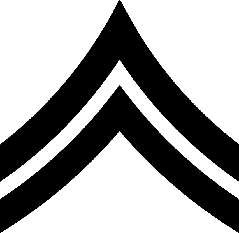 Level III Insignia