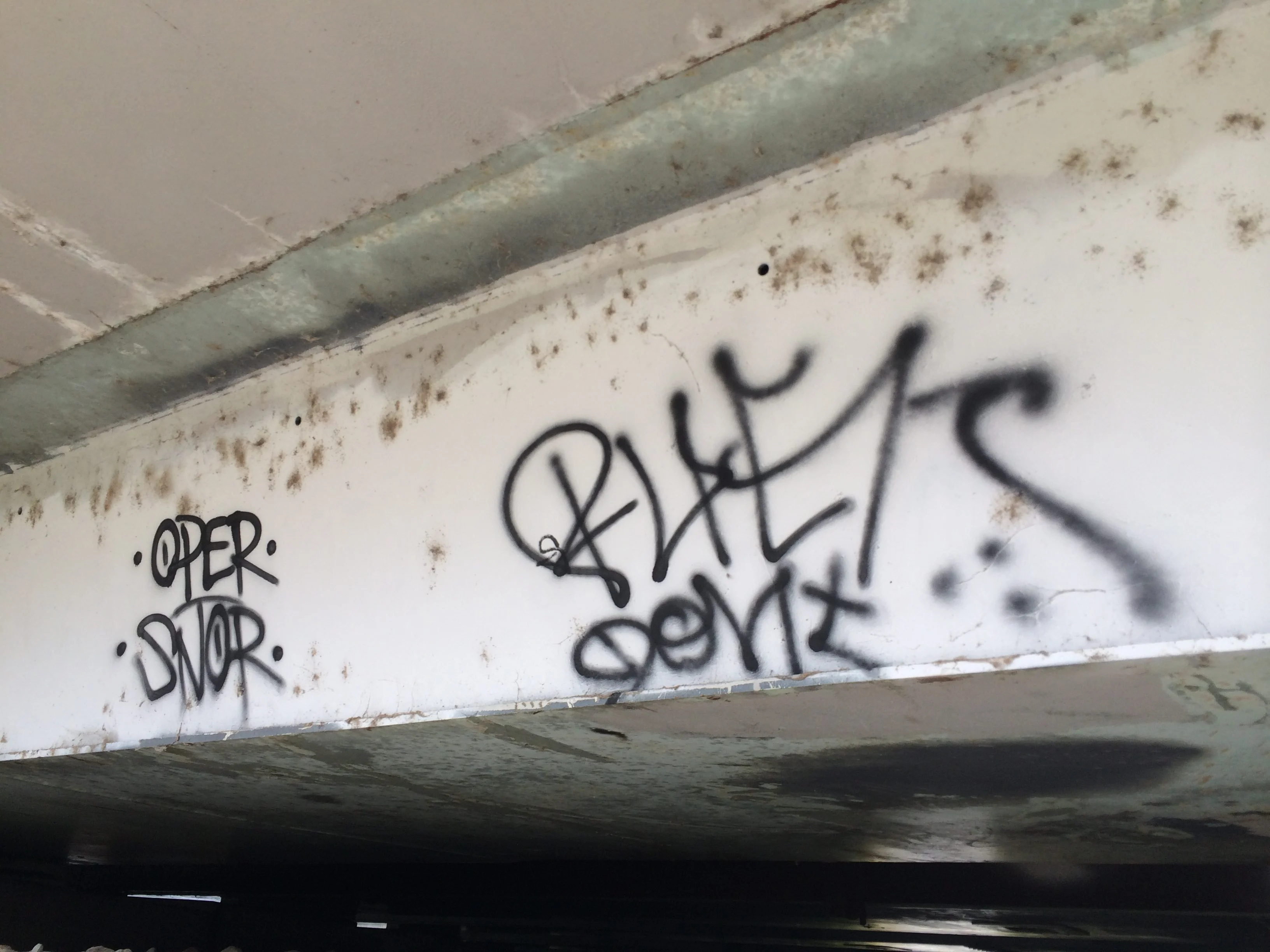 Loitering and Public Nuisances