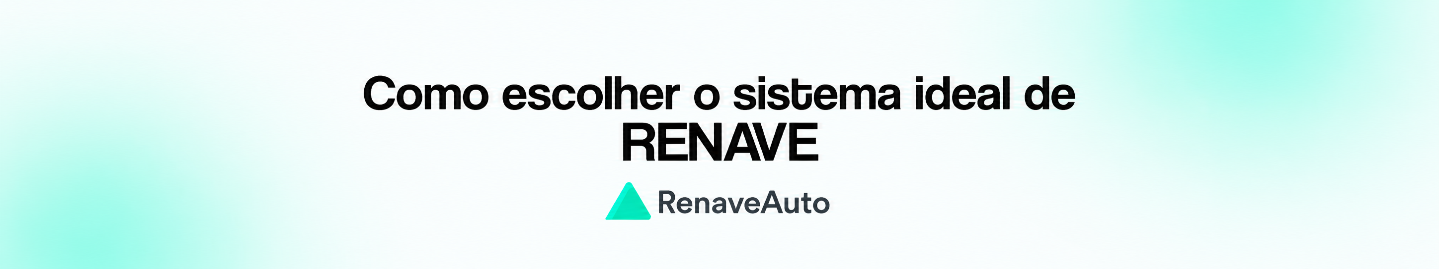 Como escolher o sistema ideal de RENAVE