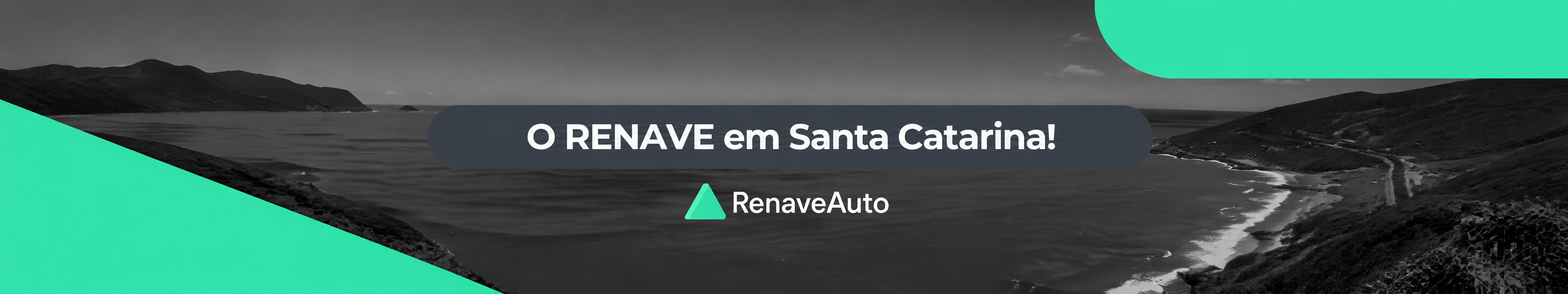 O RENAVE em Santa Catarina