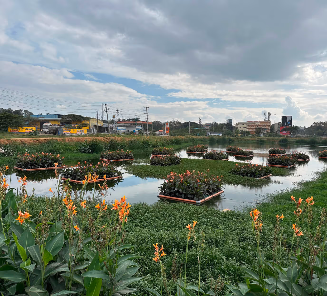 Pond with floating planters of orange flowers surrounded by greenery under a cloudy sky with buildings and trucks in the background.