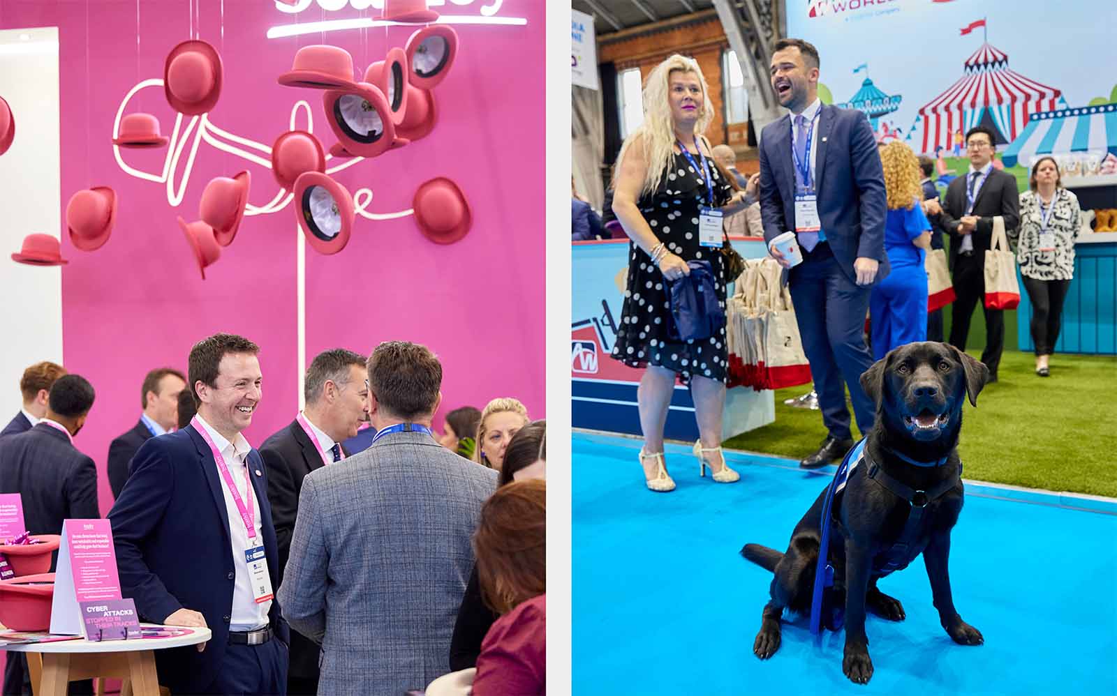 Split image. Left image shows hanging hats on a conference stand. Right image shows a dog in front of a conference stand