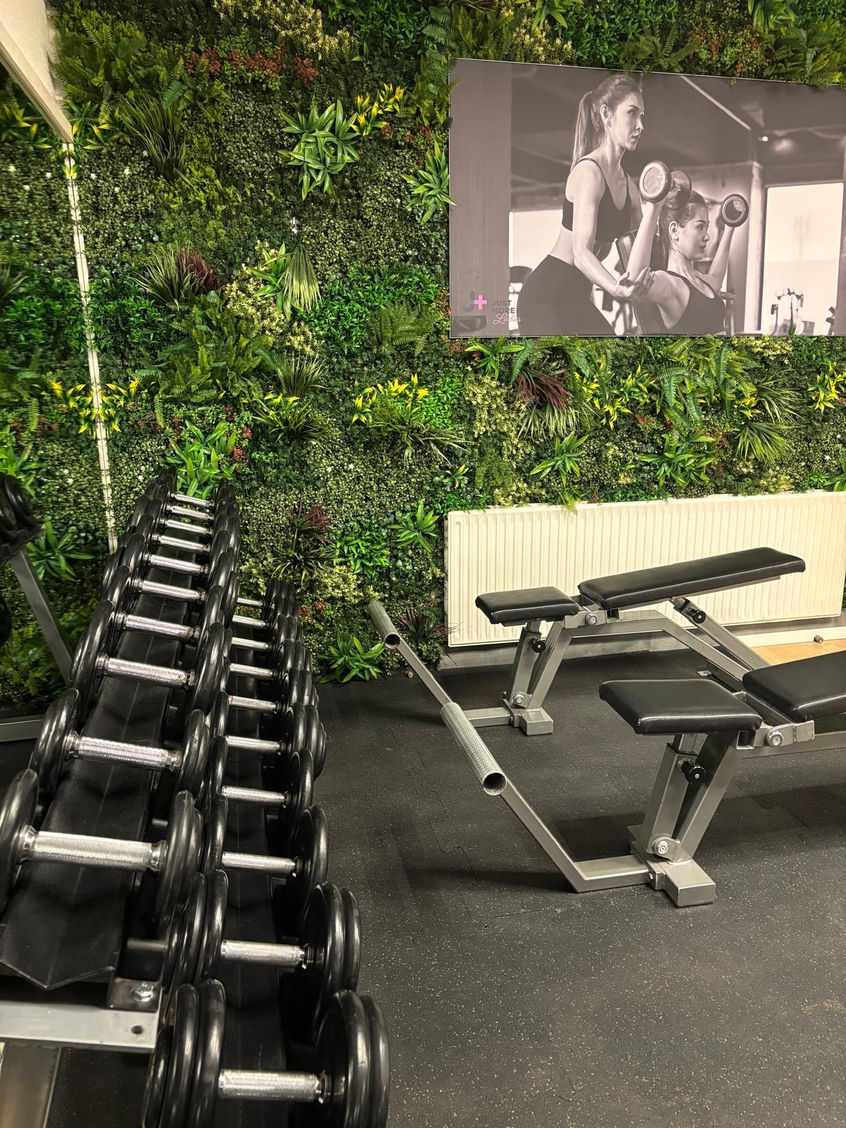 Gym with dumbbell rack, adjustable benches, and green plant wall with workout photo above.